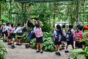 School Outings and Camps Packed Lunch Food Catering Prices Picture